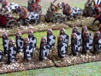 Nikon2199  Egyptian army of 15mm essex miniatures - : Wargames