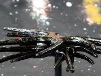 Nikon2444 : web site, sci fi