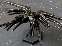 Nikon2446 : web site, sci fi